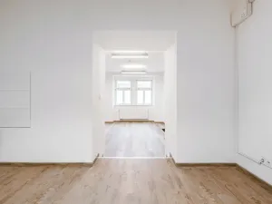 Pronájem obchodního prostoru, Praha - Nové Město, Sokolská, 50 m2