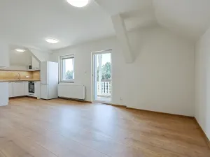 Pronájem bytu 2+kk, Plzeň, Pod Košutkou, 38 m2