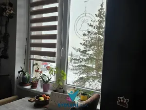 Pronájem bytu 2+1, Krupka, Sídliště, 50 m2