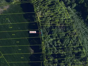 Dražba lesa, Přísnotice, 31 m2