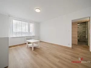 Pronájem bytu 1+1, Hradec Králové - Nový Hradec Králové, Fričova, 38 m2