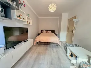 Prodej bytu 2+kk, Kralupy nad Vltavou, Přemyslova, 50 m2