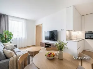 Prodej bytu 2+kk, Brno, Holzova, 41 m2