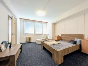 Pronájem bytu 2+1, Mladá Boleslav, Havlíčkova, 65 m2