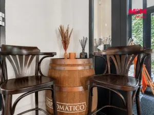 Prodej restaurace, Frenštát pod Radhoštěm, Školská čtvrť, 500 m2