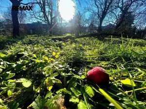 Prodej pozemku pro bydlení, Podolí, 1608 m2
