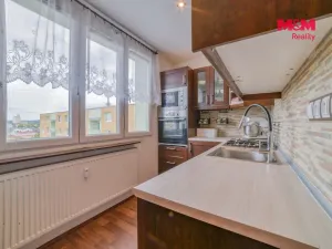 Prodej bytu 3+1, Bor, Přimdská, 61 m2