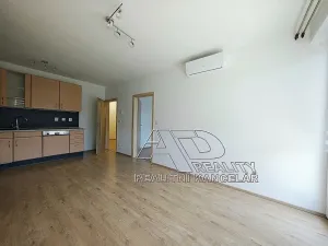 Pronájem bytu 2+kk, České Budějovice, B. Smetany, 46 m2