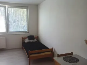 Pronájem bytu 1+kk, Týn nad Vltavou, Komenského, 20 m2