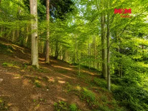 Prodej chaty, Trojanovice, 62 m2