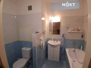 Pronájem bytu 2+1, České Budějovice, Netolická, 50 m2