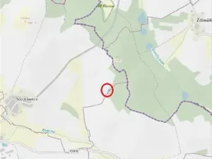 Prodej lesa, Smilovy Hory, 501 m2