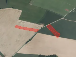 Prodej pole, Buzice, 14760 m2