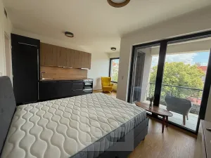 Pronájem bytu 1+kk, Praha - Strašnice, Na palouku, 32 m2
