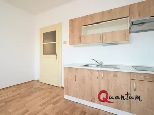 Pronájem bytu 1+kk, Praha - Vinohrady, Fričova, 32 m2