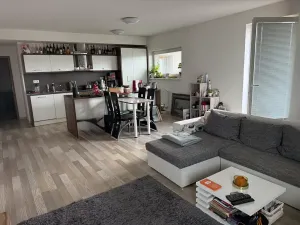 Pronájem bytu 3+kk, Plzeň, U Velkého rybníka, 104 m2