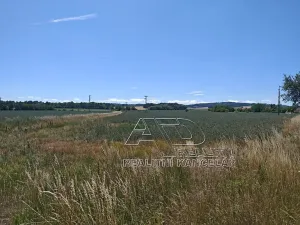 Prodej louky, Vodňany, Stožická, 3872 m2