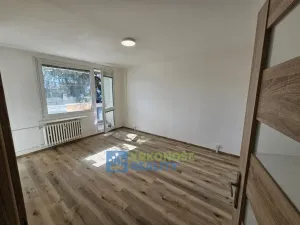 Pronájem bytu 1+kk, Praha - Podolí, Kaplická, 25 m2