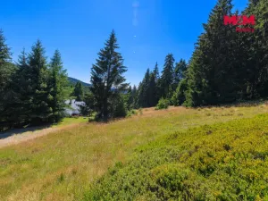 Prodej pozemku pro bydlení, Nové Hamry, 776 m2
