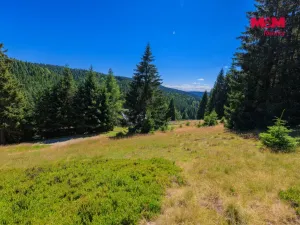 Prodej pozemku pro bydlení, Nové Hamry, 776 m2