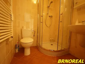 Pronájem bytu 1+1, Brno, Sibiřská, 31 m2