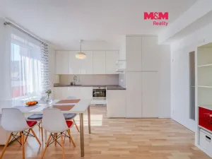 Pronájem bytu 2+kk, Plzeň - Lobzy, Sušická, 46 m2