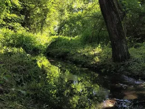 Prodej pozemku, Březina, 842 m2
