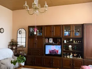 Dražba rodinného domu, Praha - Malešice, Mistrovská, 160 m2
