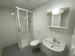 Pronájem bytu 1+kk, Brno - Maloměřice, 37 m2
