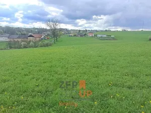 Prodej pozemku pro bydlení, Bruzovice, 4261 m2