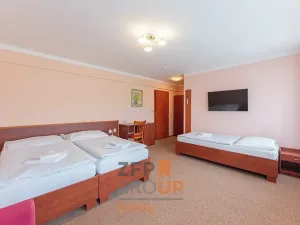 Prodej ubytování, Kunštát, Pod Hotelem Rudka, 763 m2