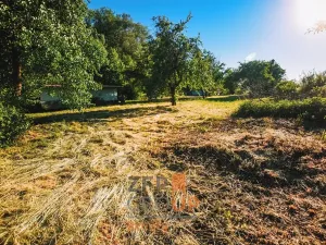 Prodej pozemku pro bydlení, Hoštka, 1656 m2