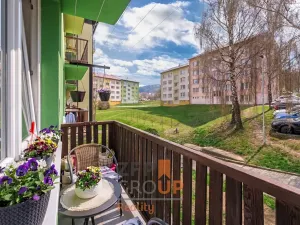 Prodej rodinného domu, Vyšší Brod, Míru, 793 m2