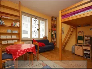 Pronájem bytu 1+1, Praha - Staré Město, 30 m2