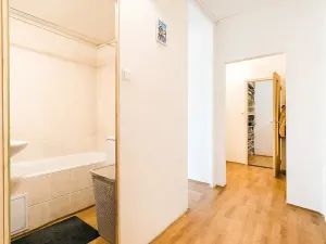 Prodej bytu 2+kk, Brno, Horácké náměstí, 47 m2
