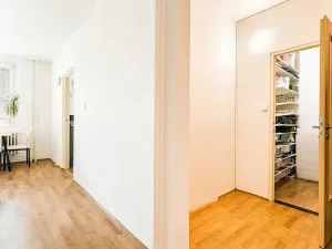Prodej bytu 2+kk, Brno, Horácké náměstí, 47 m2