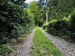 Prodej pozemku, Štěchovice - Masečín, 820 m2