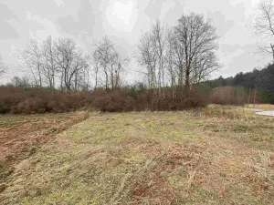 Prodej pozemku, Drahonice - Albrechtice, 2121 m2