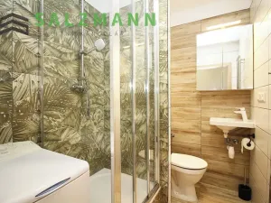 Pronájem bytu 1+kk, Dolní Bělá, 2 m2
