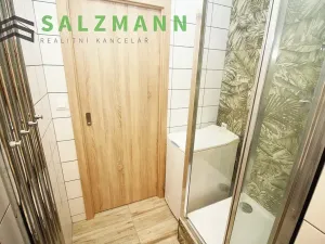 Pronájem bytu 1+kk, Dolní Bělá, 2 m2