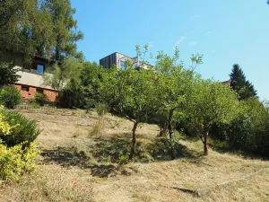 Prodej chaty, Družec, 44 m2