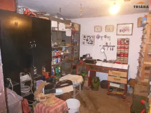 Prodej vícegeneračního domu, Turnov, Antonína Dvořáka, 320 m2