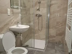 Pronájem bytu 2+kk, Plzeň, Stehlíkova, 60 m2