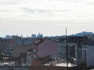Pronájem bytu 2+kk, Brno, Palackého třída, 56 m2