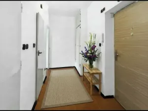Prodej bytu 1+1, Ostrava, Opavská, 36 m2