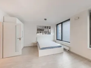Pronájem bytu 1+kk, Praha - Karlín, Sokolovská, 38 m2