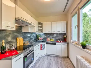 Pronájem bytu 2+1, Chomutov, Blatenská, 52 m2