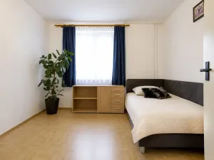 Prodej bytu 3+1, České Budějovice, V. Volfa, 73 m2