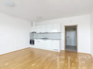 Pronájem bytu 1+kk, Praha - Žižkov, Olšanská, 36 m2