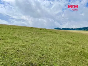 Prodej louky, Bartošovice v Orlických horách, 22170 m2